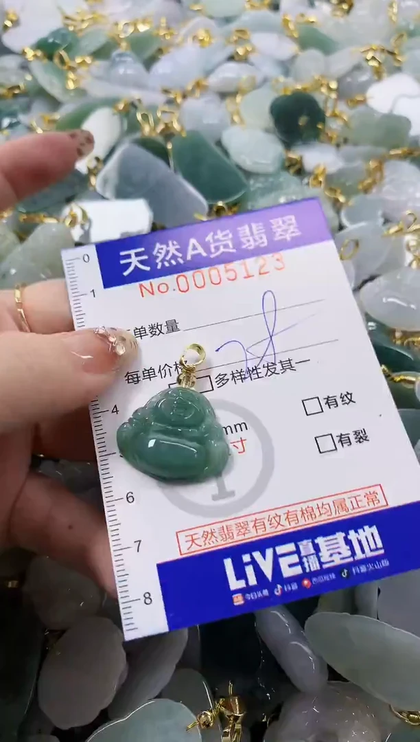 颈饰未镶嵌翡翠天然A货翡翠