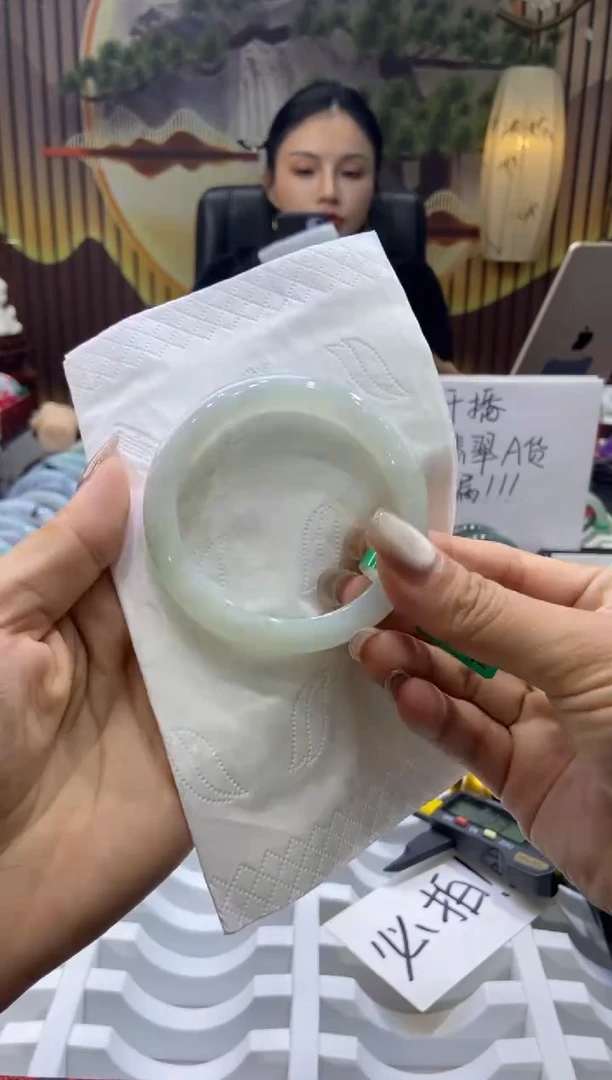 未镶嵌手镯翡翠00008200