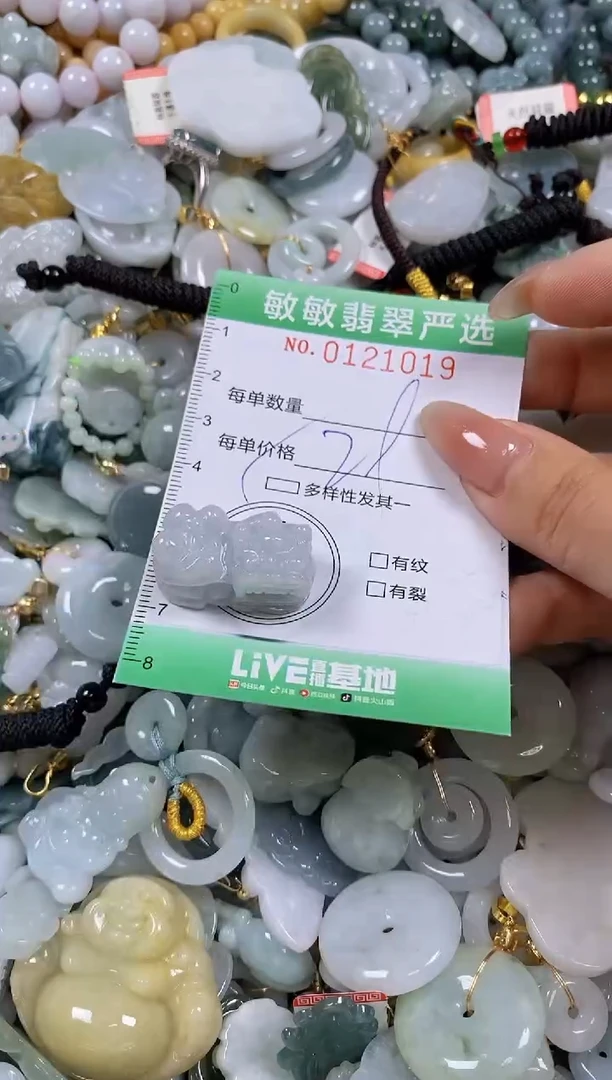 【闪购商品】翡翠颈饰未镶嵌闪购0121019多样性发其一