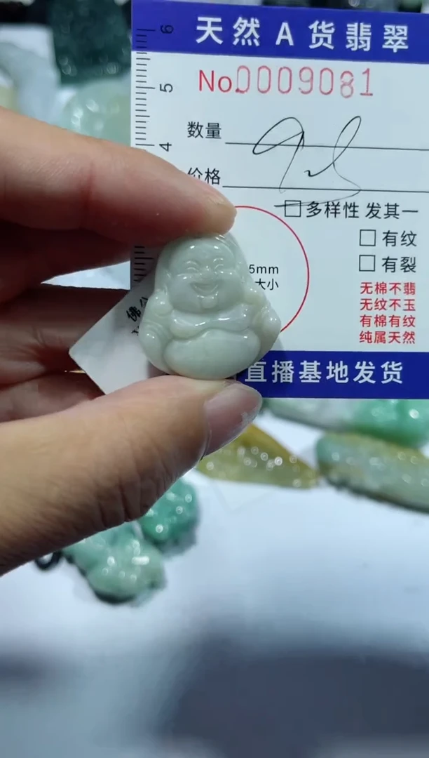 【闪购商品】翡翠颈饰未镶嵌00009081