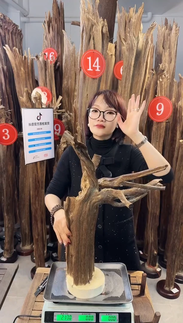 【闪购商品】沉香摆件沉香摆件多样性发一件66