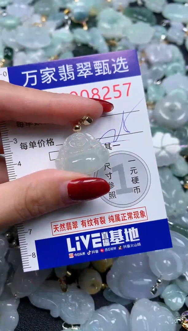 颈饰未镶嵌翡翠8257
