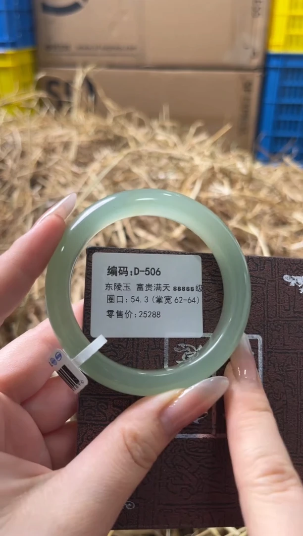 未镶嵌手镯石英质玉D-506