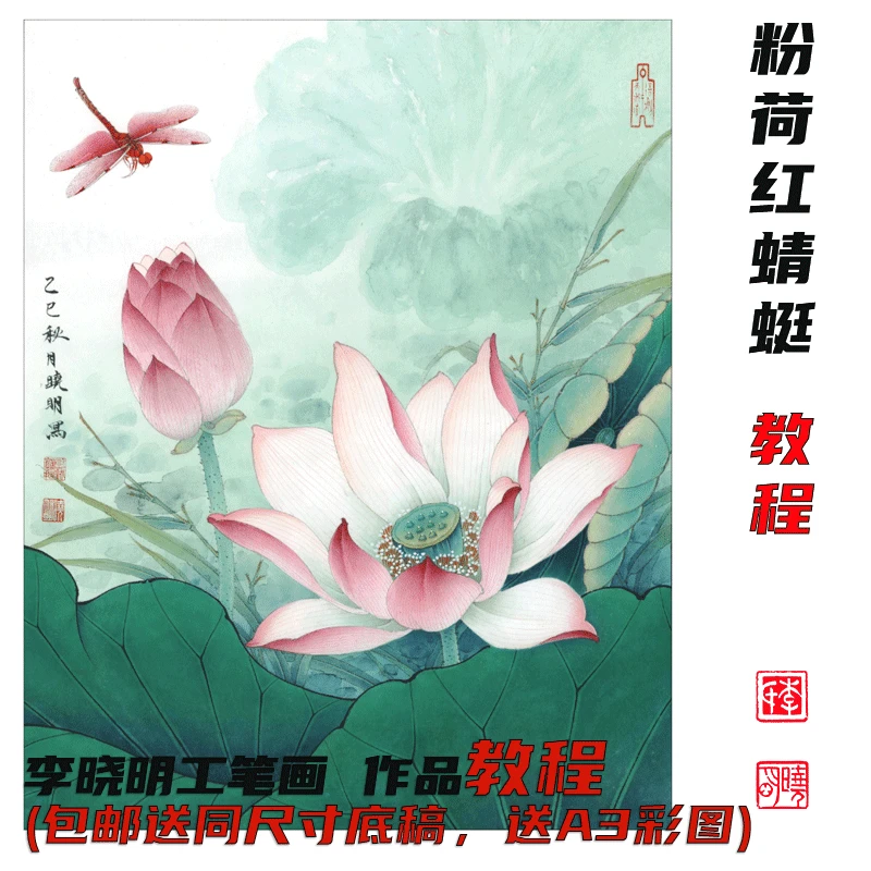 李晓明《粉荷红蜻蜓》2025最新教程 包邮送底稿40*50 A3彩图