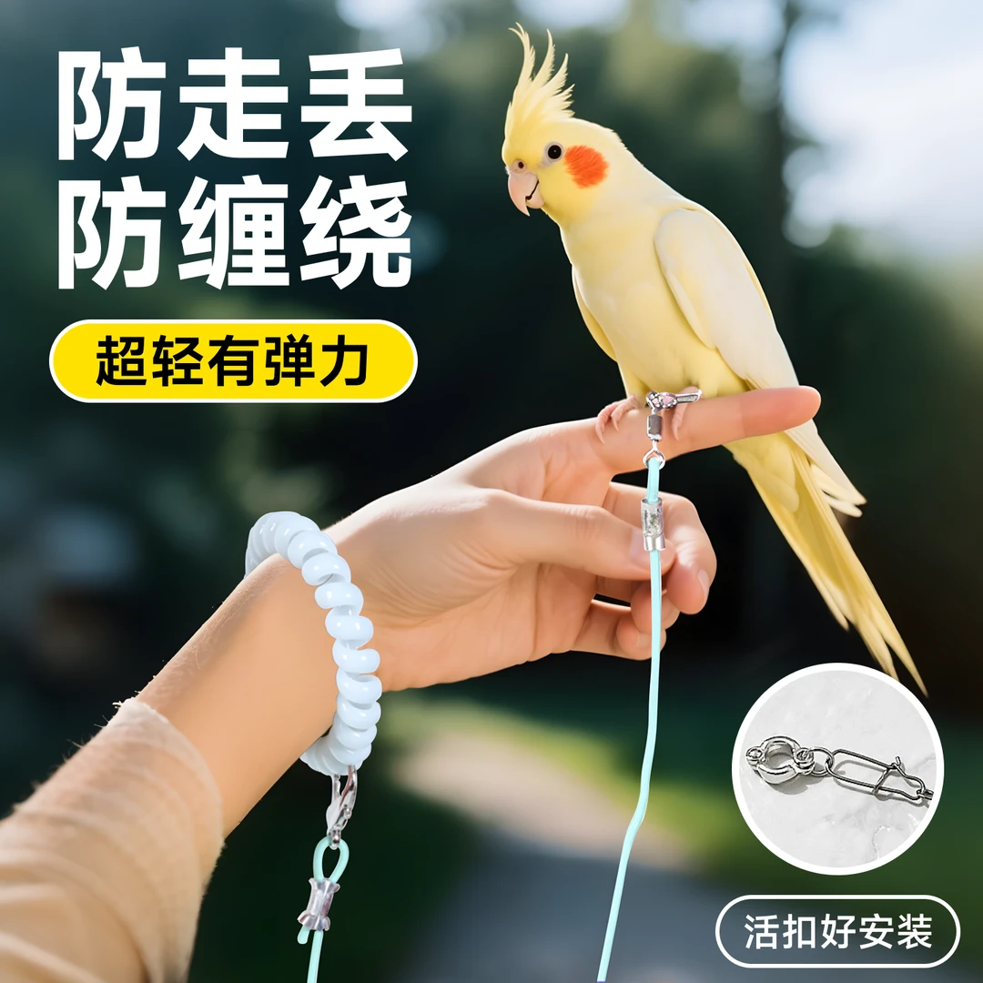 鹦鹉放飞绳不伤脚超轻牵引绳虎皮玄凤牡丹小太阳脚环脚链遛鸟神器
