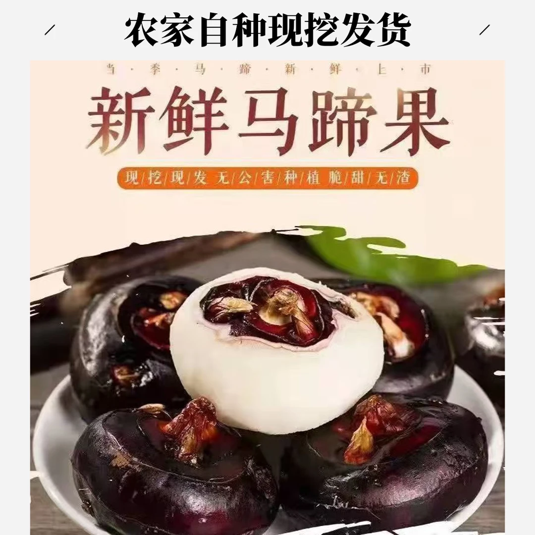 【精选马蹄】新鲜马蹄当季整箱新鲜时令水果蔬菜脆甜多汁产地直发