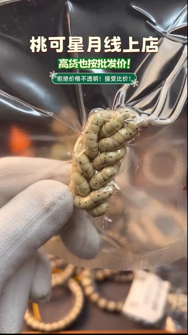 手串星月菩提6mm毕业款数星星大肠手持 海南原生态石玉料同枝果