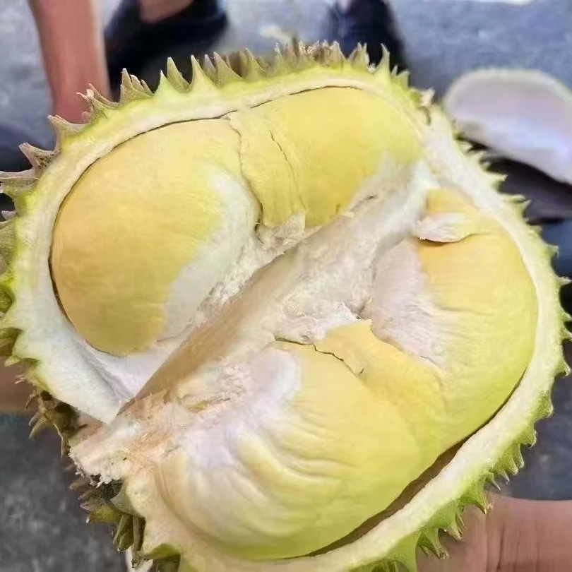【一物一拍】清川泰国新鲜金枕榴莲现开果肉有瑕疵夹生核小 2--7斤榴莲同城送榴莲同城配金枕泰国