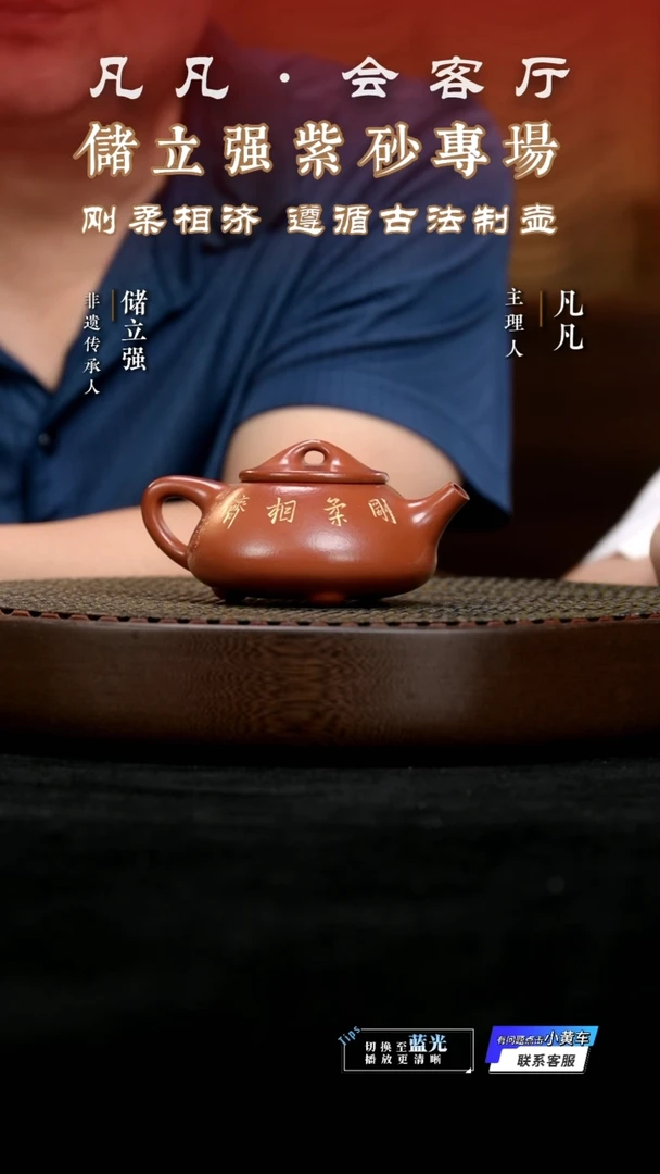 茶壶紫砂LGZ储立强165 石瓢大红袍200cc