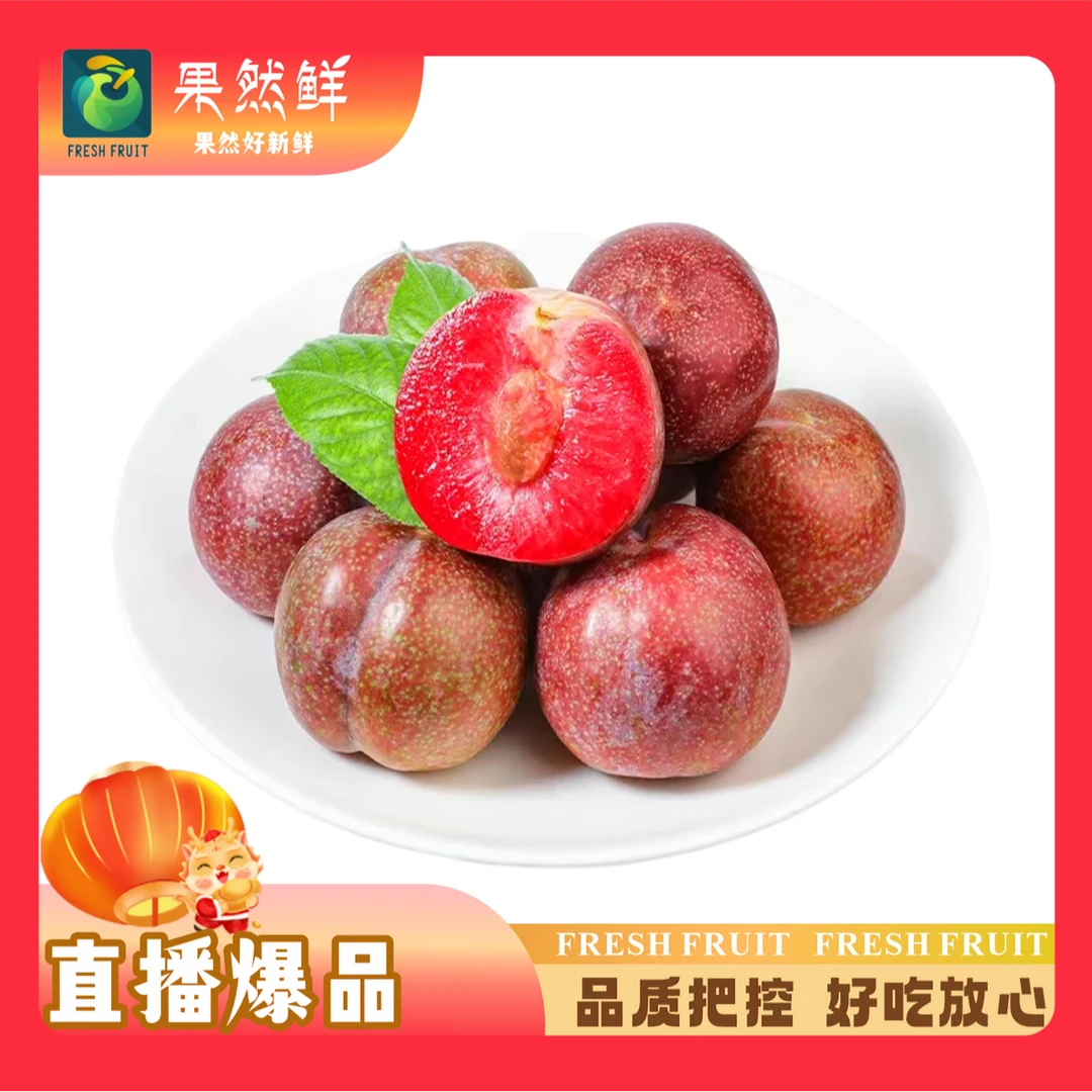 芙蓉李子-500g(喜酸人群放心入)