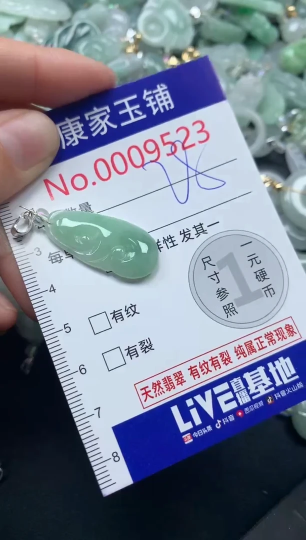 颈饰未镶嵌翡翠9523