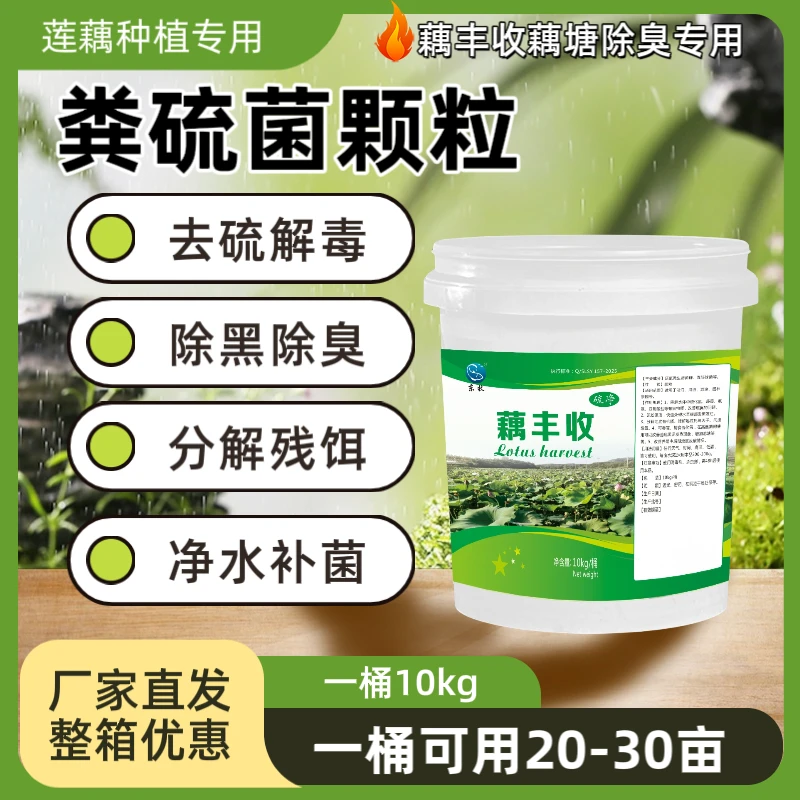 粪硫菌颗粒莲藕水产养殖专用调水净水稳水除黑除臭增氧过硫酸氢钾