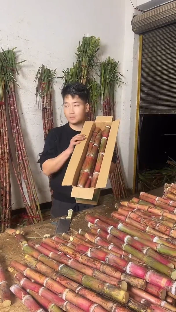 红甘蔗红皮甘蔗脆甜多汁