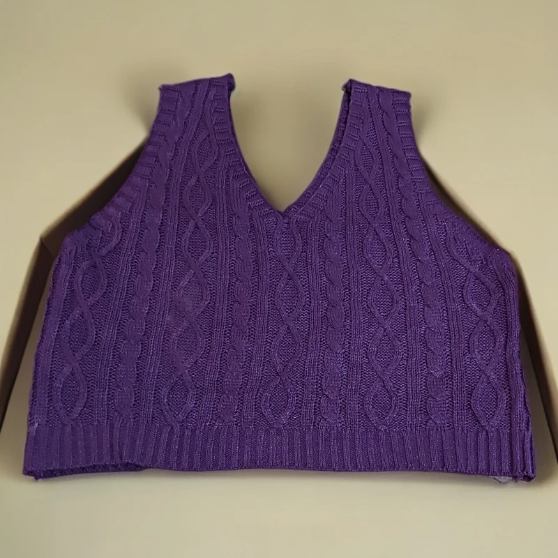 3986紫色常规百搭外贸没吊牌针织马甲背心
