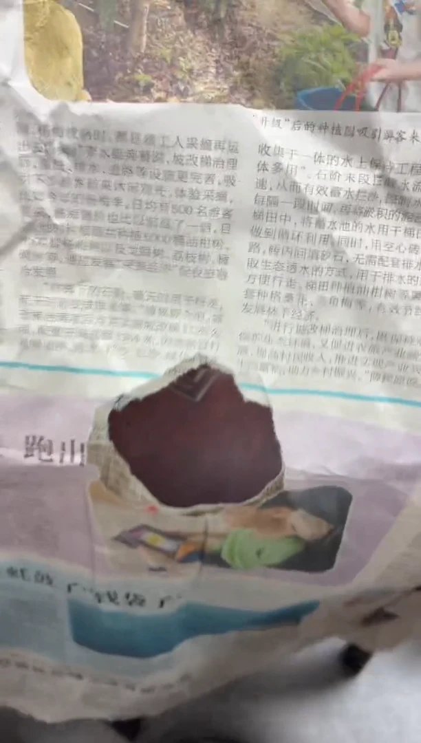闪购商品闪购商品@@aa262