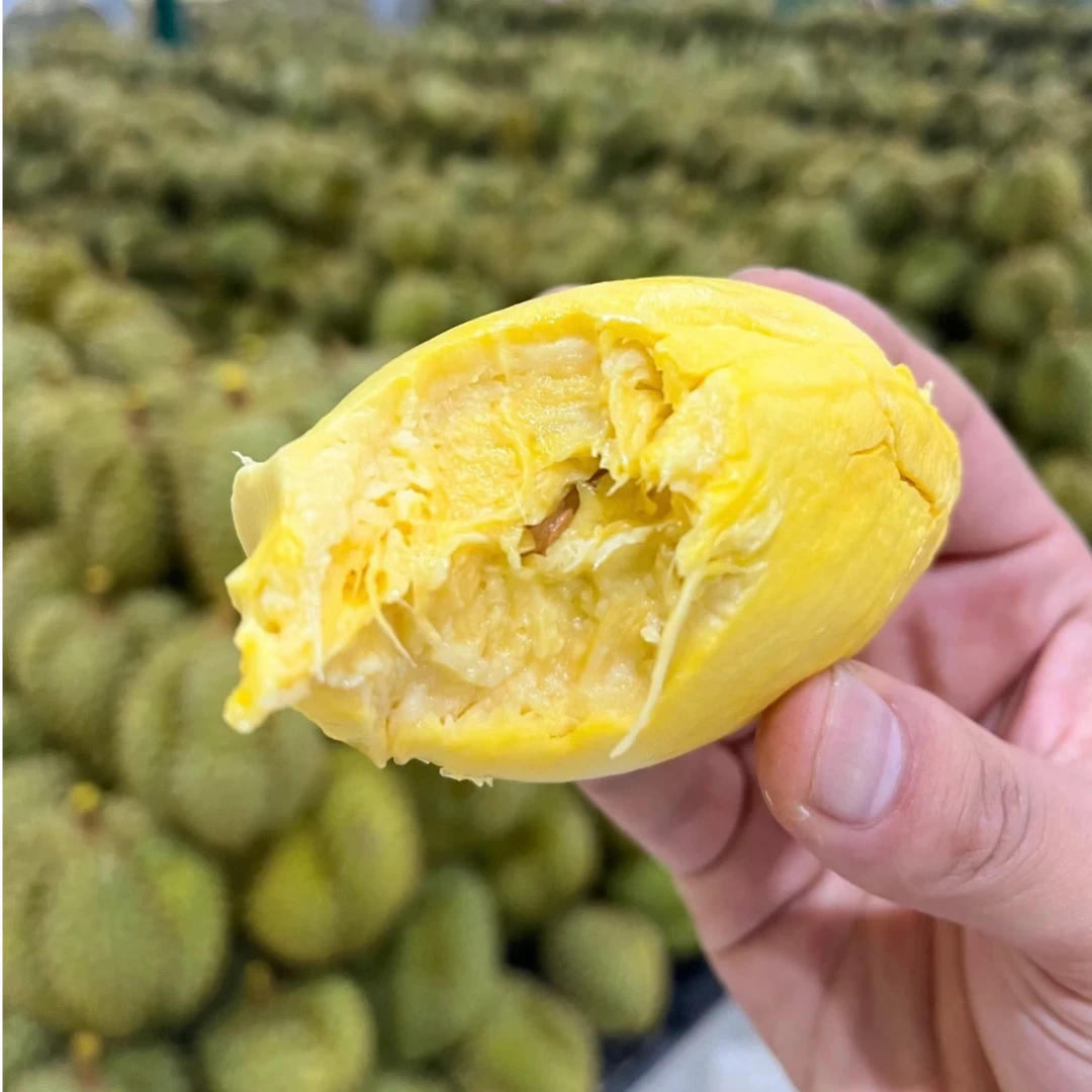 【希望您每次购买都是因为满意我们的品质而不是将就】软糯香甜 泰国树熟金枕鲜榴莲 斤 核小 介意勿拍金枕泰国