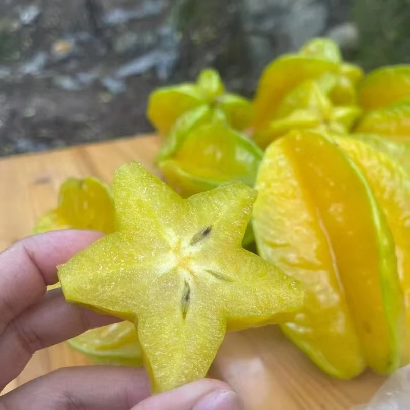 福建漳州甜杨桃香蜜新鲜水果整箱包邮应当季红龙五角星杨阳桃