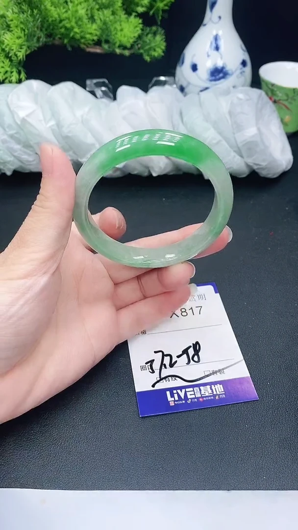 未镶嵌手镯翡翠817