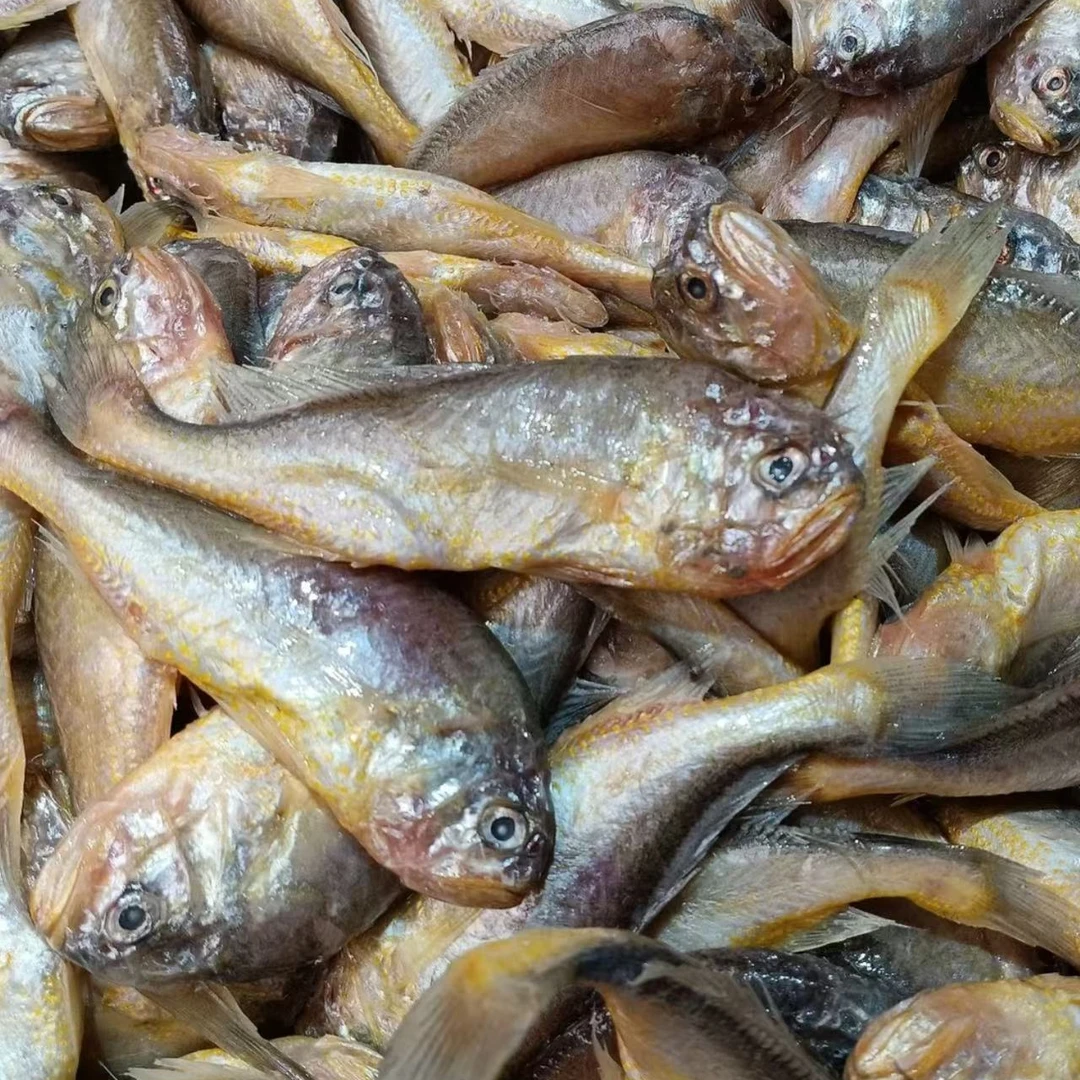 大头宝鱼 肉质鲜嫩4斤装 顺丰包邮