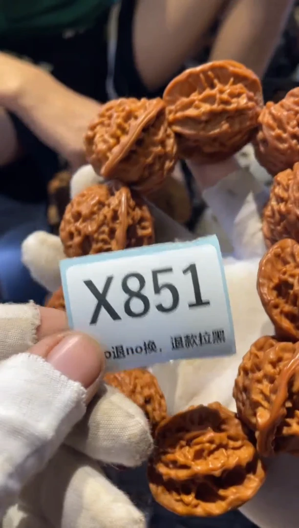 瓷片涅**生火爆火爆热卖热卖