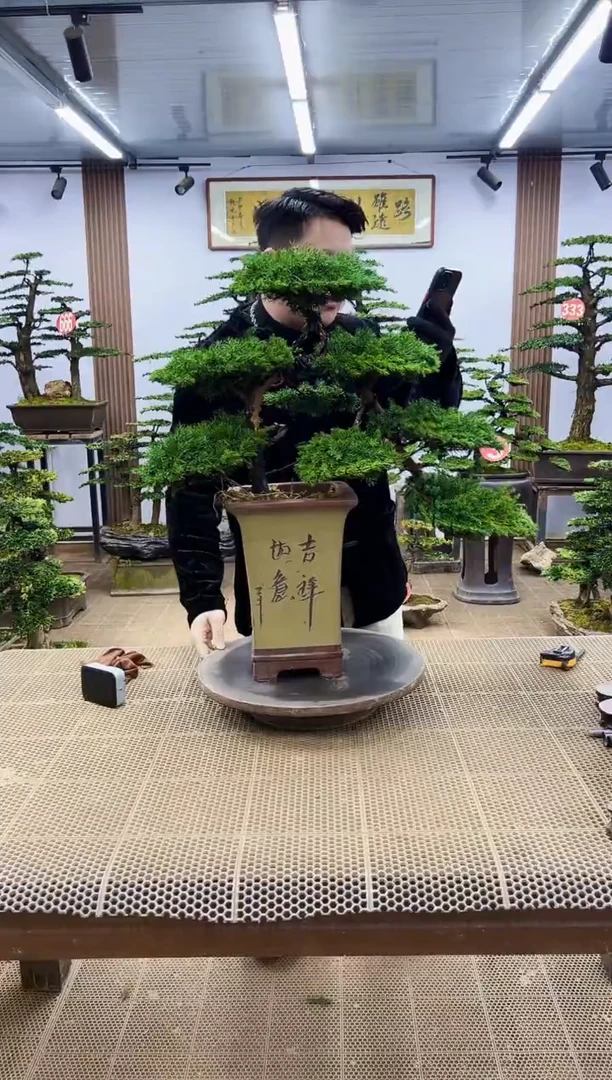 【闪购商品】000000000