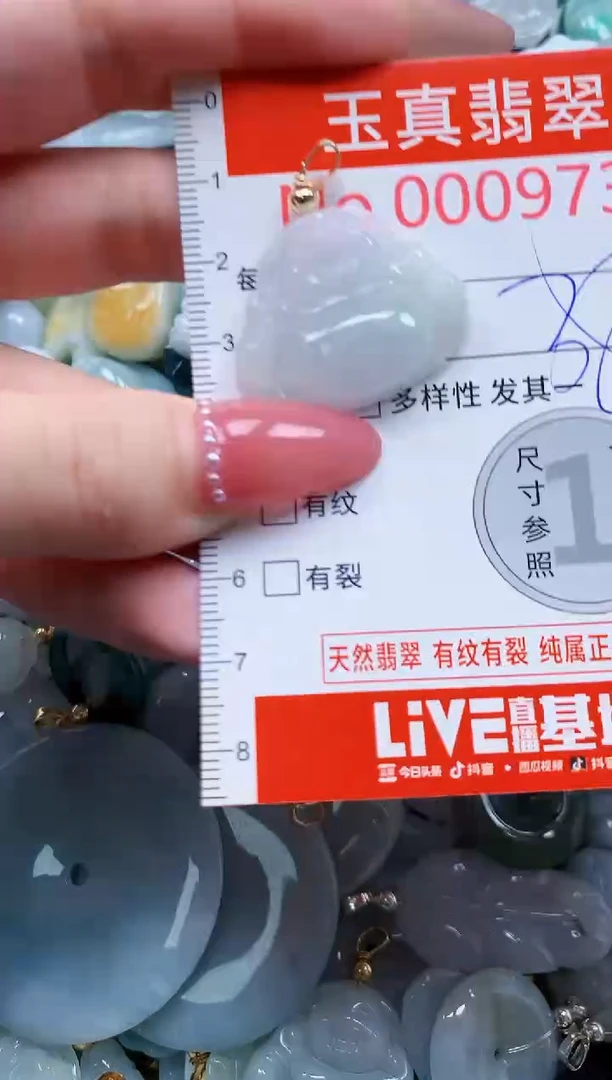 翡翠未镶嵌吊坠(不含链)9737