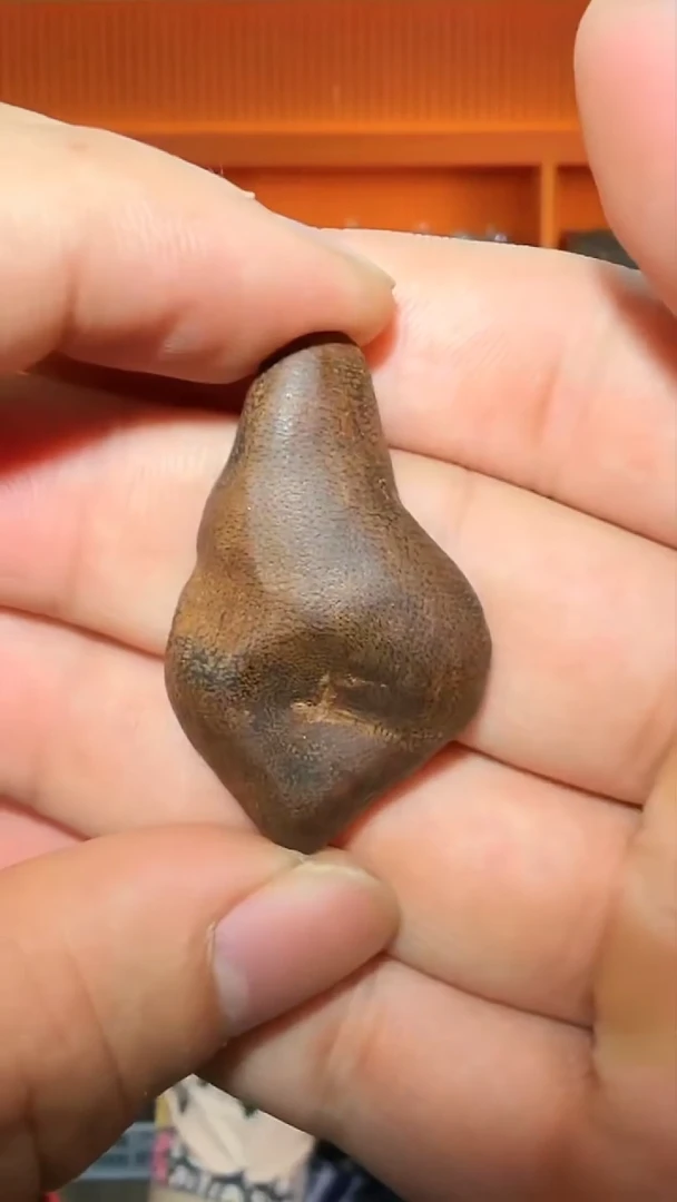 沉香吊坠38号红土多样性发一