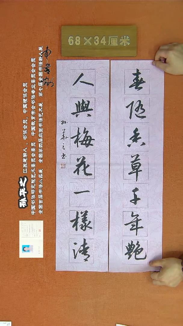 【闪购商品】书法245孙华之书法作品