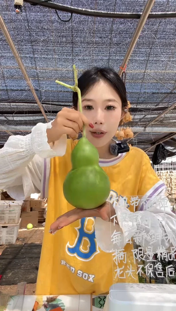 491天然葫芦摆件 一物一拍龙头不保售后