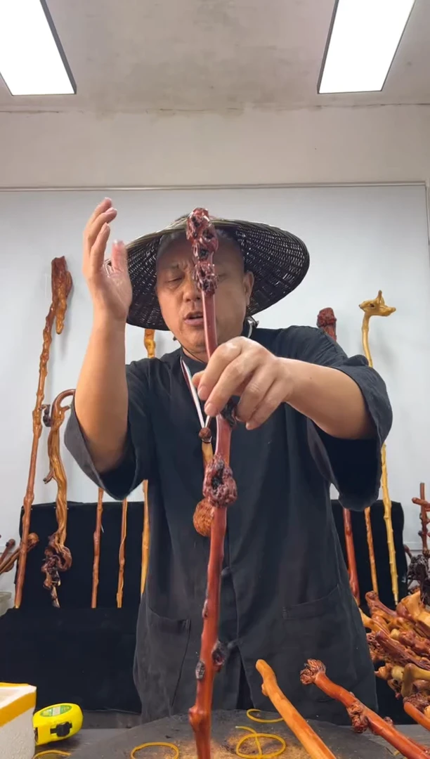 黑果木其他黑果木294