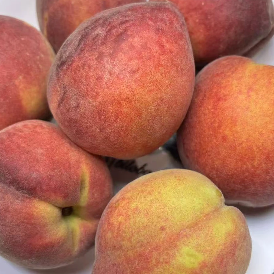 【顺丰】湖南彩虹黄桃5斤装 非杨桃