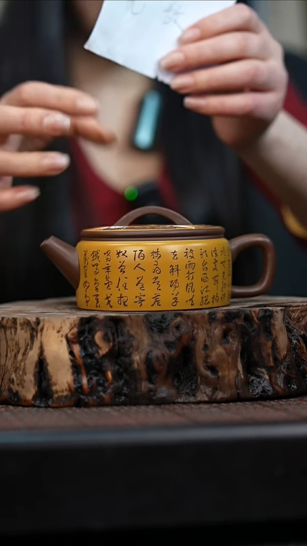 宜兴岁颐传砂原矿全手59