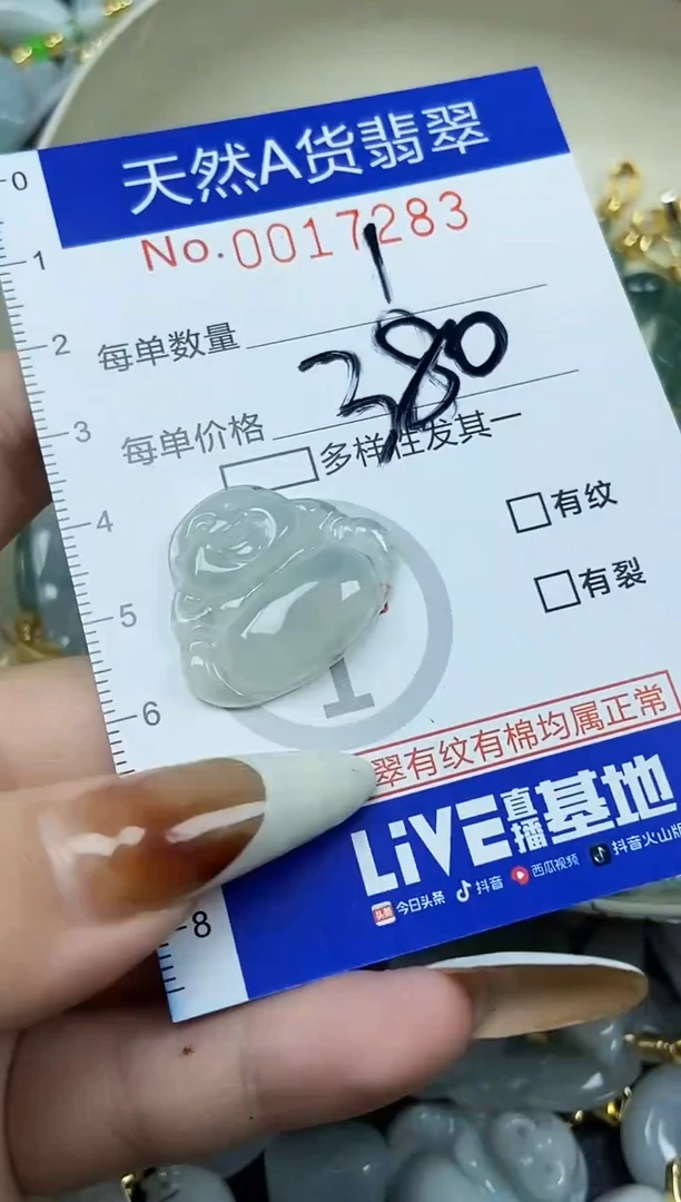 【闪购商品】翡翠颈饰未镶嵌天然A货翡翠