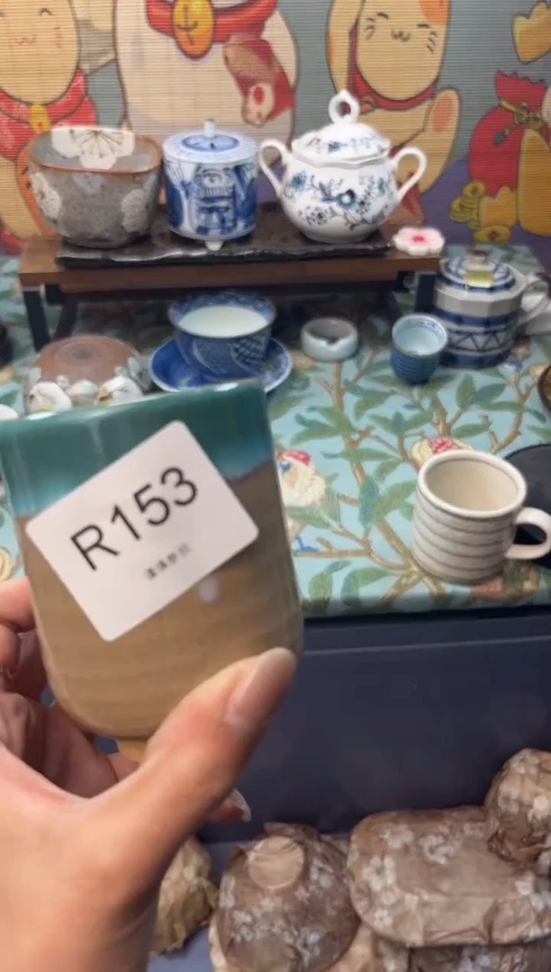 瓷片T***r     R153