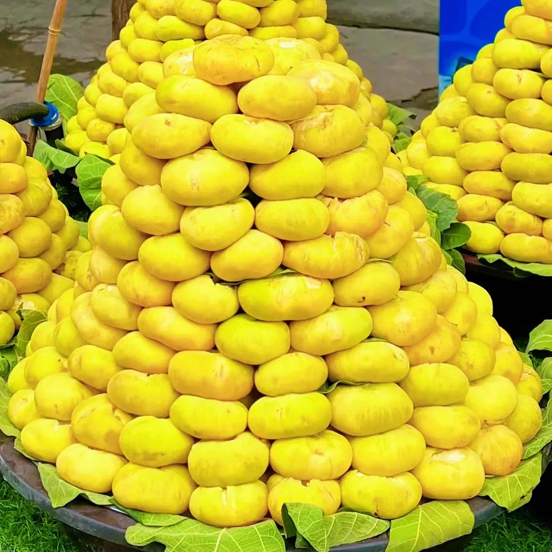 【支边李团长助农】新疆阿图什无花果新鲜当季水果顺丰包邮