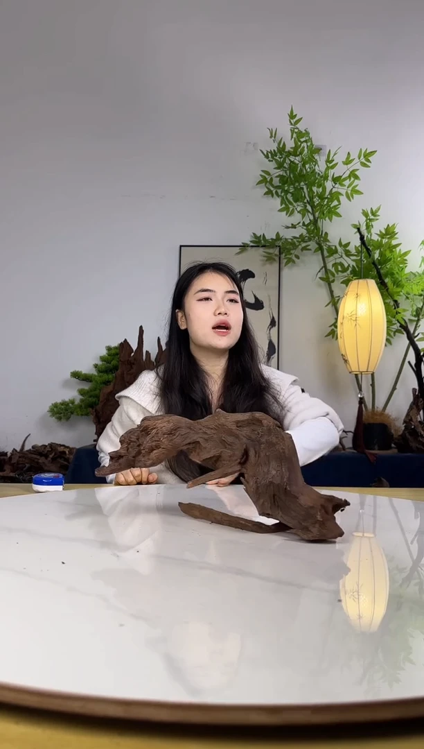 养**手拍沉木定向链接编号21