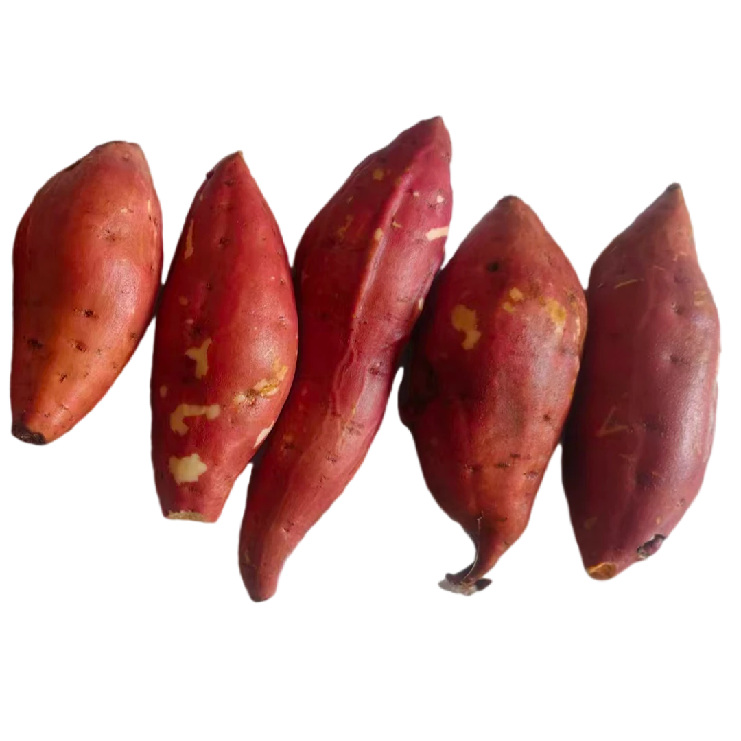 烟薯红庙镇农户自产自销超甜新鲜黄心蜜薯正宗番薯地瓜蔬菜