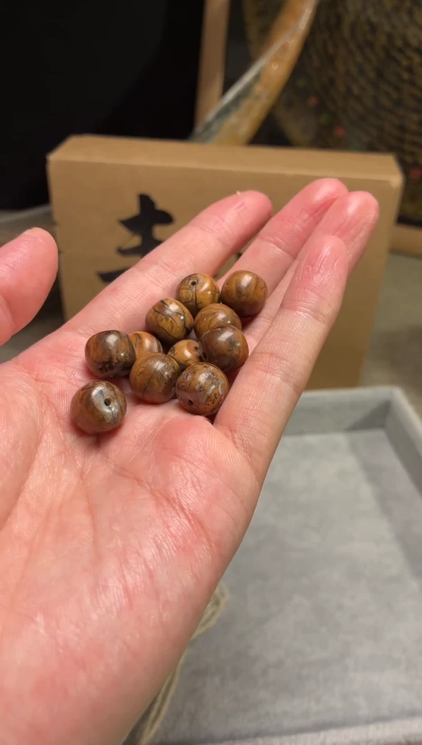 其他猛犸象牙闪购446猛犸臼齿老型单籽12*11mm