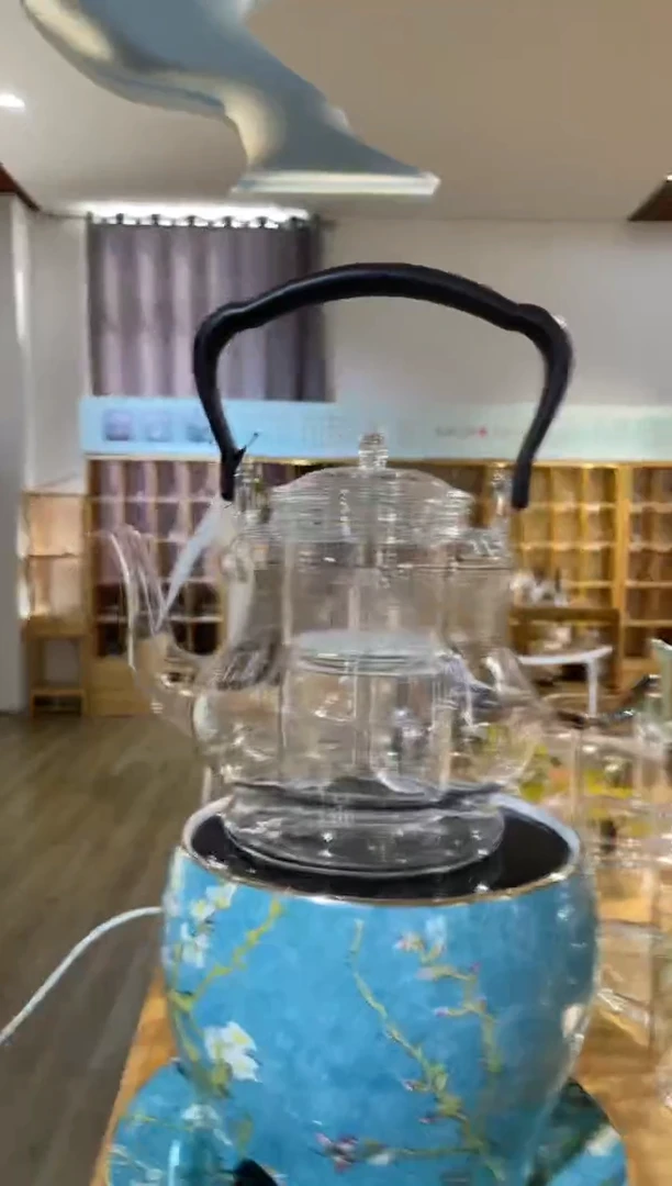 手工艺品玻璃大观壶银色