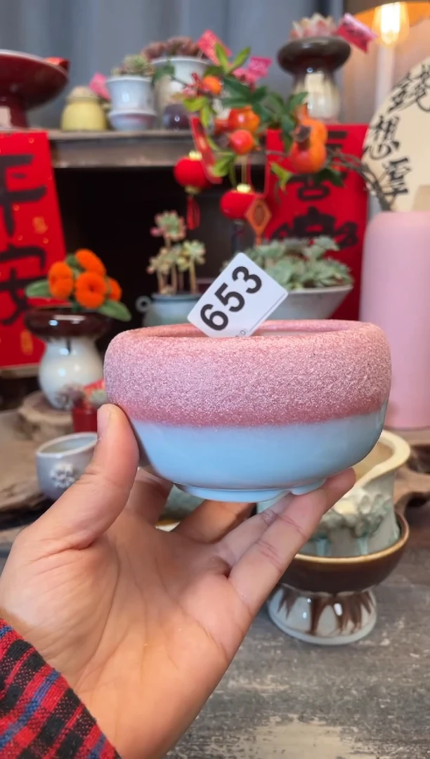 【闪购商品】摆件653知木小芳花盆