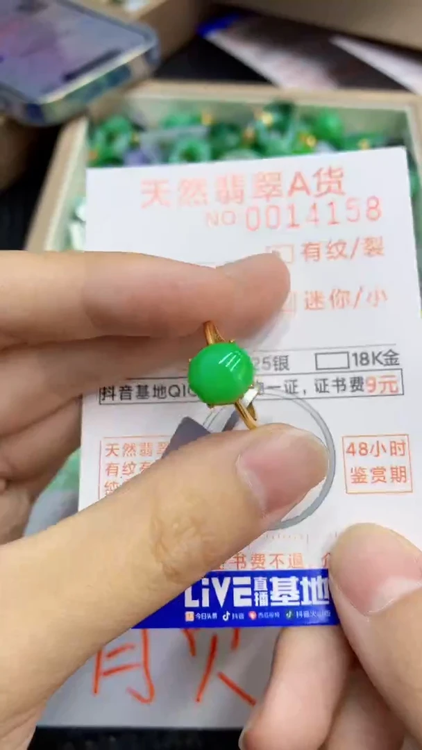 翡翠未镶嵌颈饰             1