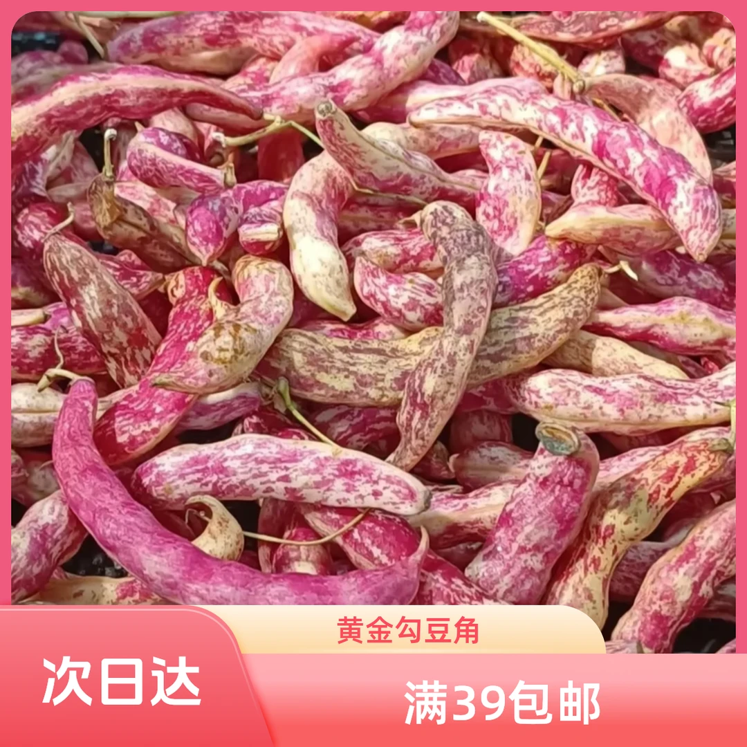 黄金勾山东豆角300g绿色蔬菜