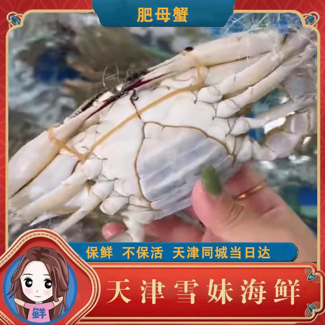 【保鲜不保活】肉母蟹2斤-5斤 每斤2-5只，单只2-5两