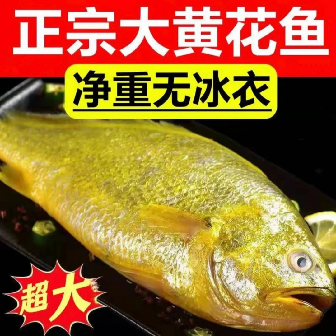 【粉丝福利】海捕半野生黄花鱼9两到1斤*5条顺丰冷链独立包装无冰