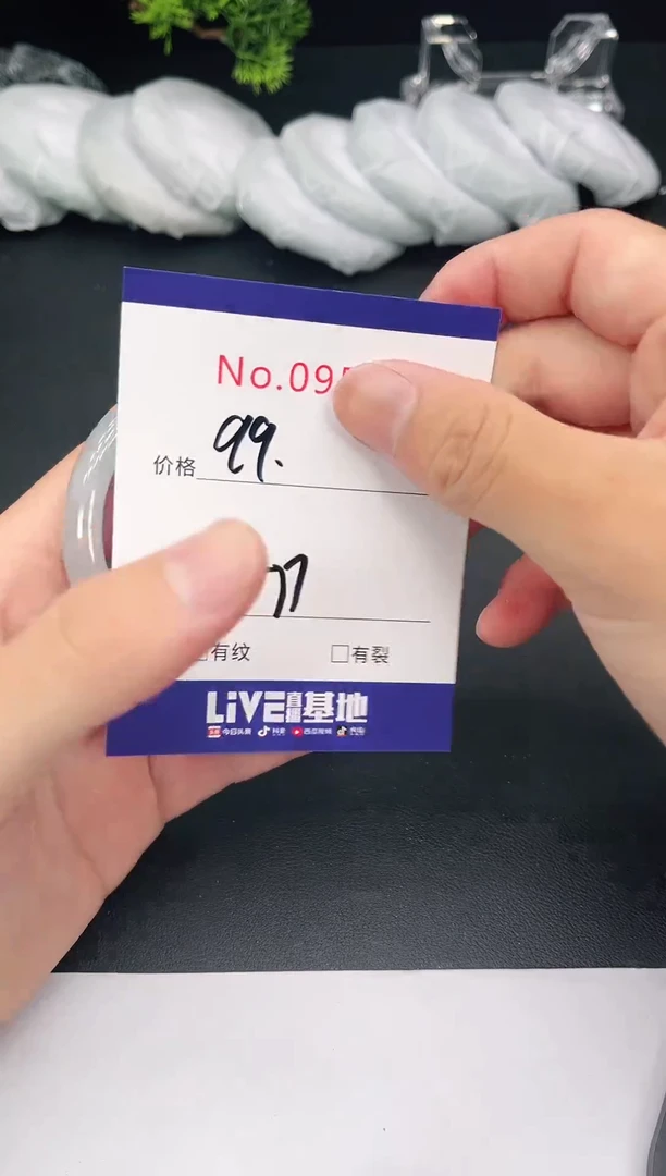 未镶嵌手镯翡翠9554