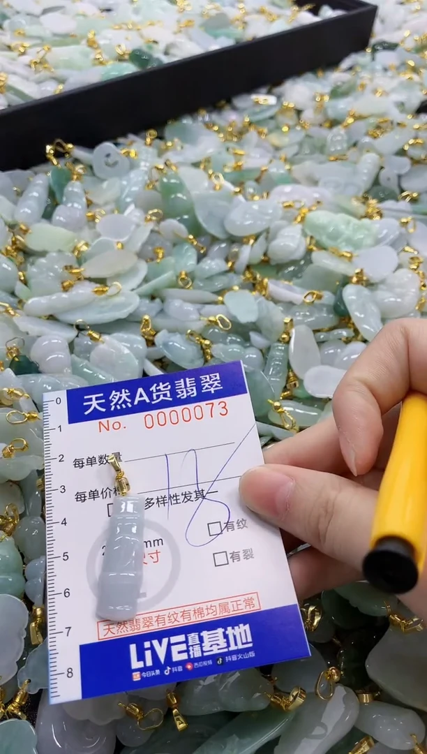 颈饰未镶嵌翡翠纯天然a货翡翠