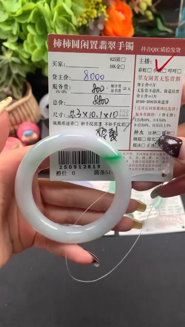 未镶嵌手镯翡翠姐姐250912819