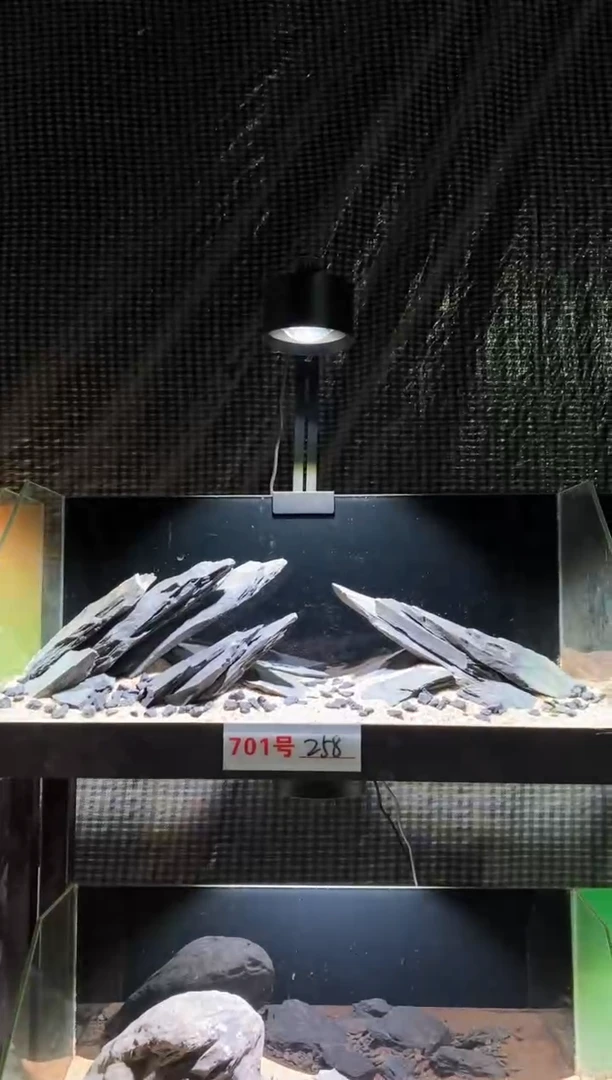 701号鱼缸造景（不含底砂）