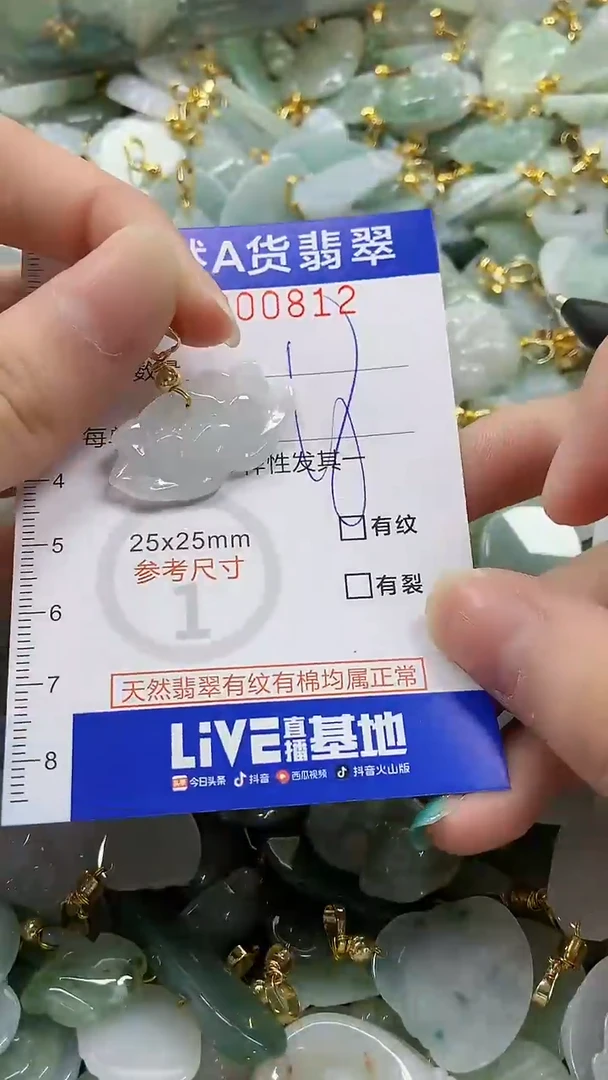 颈饰未镶嵌翡翠纯天然a货翡翠