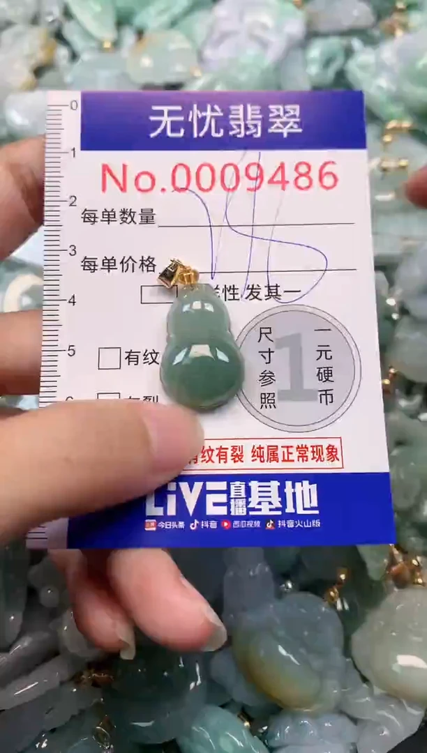 颈饰未镶嵌翡翠9486